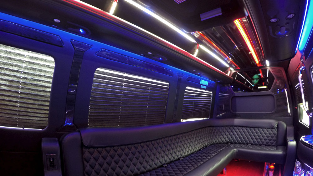 10 Passenger Party Bus Service